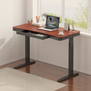 HOORN íróasztal elektromos magasságállítással, vezérlőpanellel 120x60 cm fekete-dió