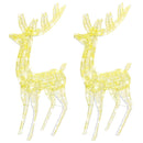 vidaXL 2 db meleg fehér XXL akril karácsonyi rénszarvas 250 LED 180 cm