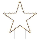 vidaXL karácsonyi csillag fénydekoráció cövekekkel 80 LED 60 cm