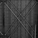 vidaXL szürke polyrattan napozóágy párnával