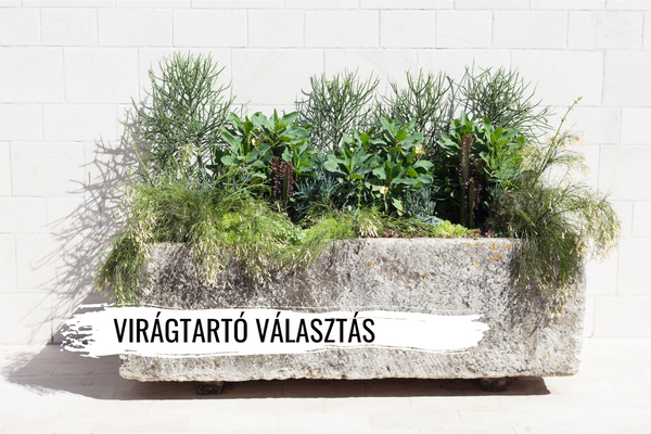 Hogyan válassz stílusos virágtartót?