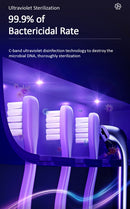 Usams ZB183XDJ01  Fogkefe sterilizáló