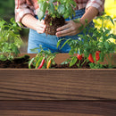 Deco elevated műanyag kerti virágláda alsó polccal 110L dió