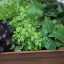 Deco elevated műanyag kerti virágláda alsó polccal 110L dió