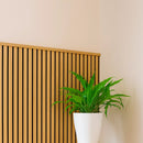 Homelux 2