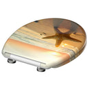 SCHÜTTE SEA STAR duroplast WC-ülőke lágyan záródó gyorskioldással