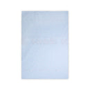 Lorelli Paplan huzat 140x95cm - Train Blue