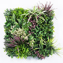 Essence I. műanyag zöldfal 50x50 cm