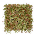 Jiaogulan műanyag zöldfal 50x50 cm