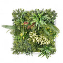 Harmonia III. műanyag zöldfal 63x63 cm