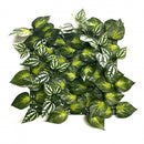 Aureus műanyag zöldfal 33x33 cm