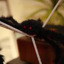 vidaXL Halloween pók díszítés pókhálóval 2 pcs Fekete és fehér