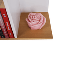 Könyvespolc, tűnyalábos fenyő/fehér, ERDEM NEW TYP 1