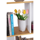 Könyvespolc, tűnyalábos fenyő/fehér, ERDEM NEW TYP 1