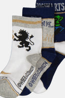 Harry Potter gyerek zokni 23/26, J-85SEV0607A23