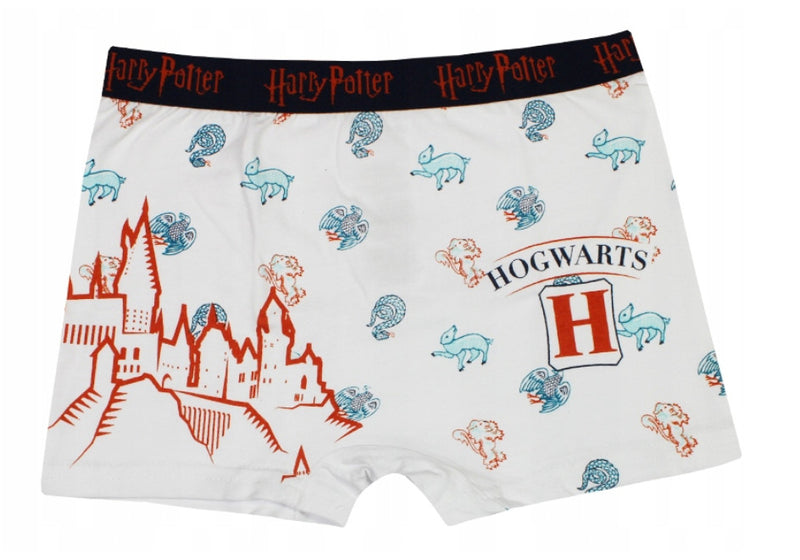 Harry Potter gyerek boxeralsó 2 darab/csomag 8/10 év, J-85SEV3048A8
