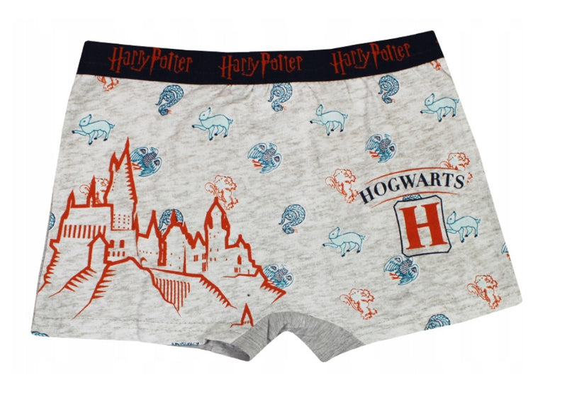 Harry Potter gyerek boxeralsó 2 darab/csomag 6/8 év, J-85SEV3048B6