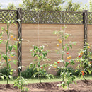 vidaXL 5 db spirál alakú horganyzott acél növény támaszték 170 cm