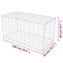 vidaXL horganyzott acél gabion kosár 100 x 50 x 50 cm