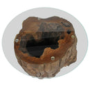 vidaXL tíkfa és üveg dohányzóasztal 50 x 40 cm