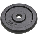 vidaXL 4 db öntöttvas súlyzótárcsa 2 x 10 kg + 2 x 5 kg