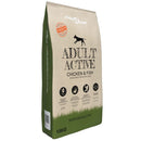 vidaXL 2 db „Adult Active Chicken & Fish” prémium száraz kutyatáp 30kg