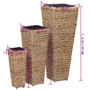 vidaXL 3 db barna vízijácint növénytartó