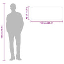 vidaXL átlátszó edzett üveg konyhai fröccsenésgátló 100 x 40 cm