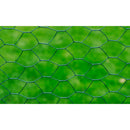 vidaXL zöld PVC-bevonatú csirkeháló drótkerítés 25 x 0,5 m
