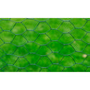 vidaXL zöld PVC-bevonatú csirkeháló drótkerítés 25 x 0,5 m