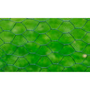 vidaXL zöld PVC-bevonatú csirkeháló drótkerítés 25 x 0,75 m