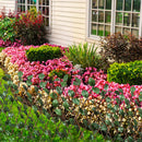 vidaXL 5 darab rácsos fűzfa kerítés műlevéllel 180 x 90 cm