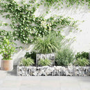 vidaXL horganyzott acél gabion virágtartó 120 x 120 x 20 cm