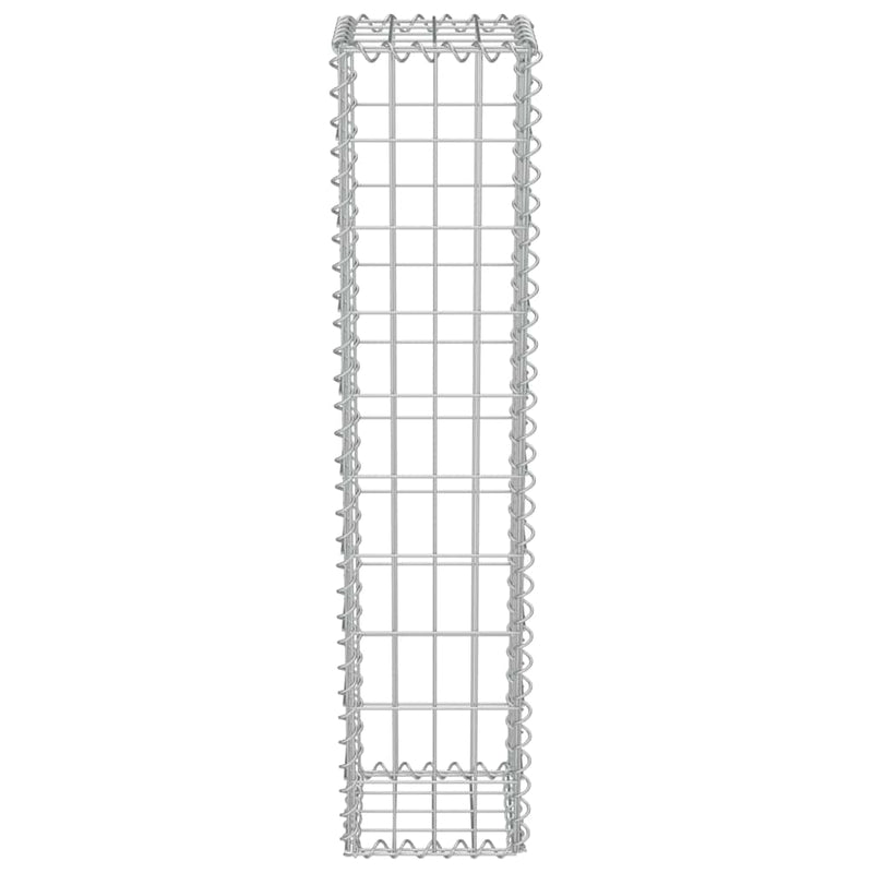 vidaXL horganyzott acél gabion fal fedéllel 20 x 20 x 100 cm