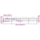 vidaXL fekete acélkerítés lándzsás tetejű 714,5 x 125 cm