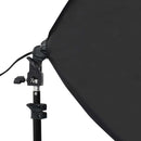 vidaXL 2 db fekete acél professzionális stúdiólámpa 40 x 60 cm