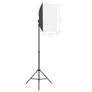 vidaXL 2 db fekete acél professzionális stúdiólámpa 40 x 60 cm
