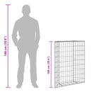 vidaXL trapéz alakú horganyzott acél gabion magaságyás 80x20x100 cm