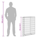 vidaXL trapéz alakú horganyzott acél gabion magaságyás 80x20x100 cm