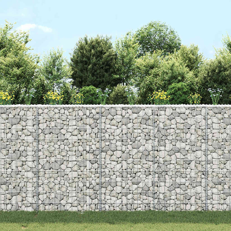 vidaXL trapéz alakú horganyzott acél gabion magaságyás 100x20x100 cm