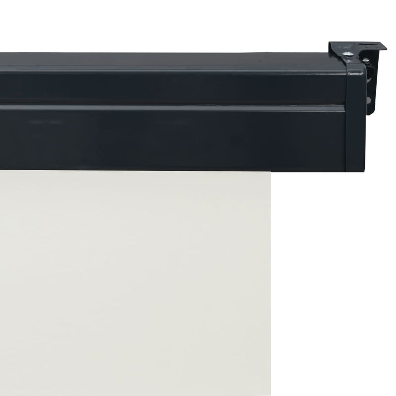 vidaXL krémszínű oldalsó terasznapellenző 65 x 250 cm
