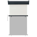 vidaXL krémszínű oldalsó terasznapellenző 105 x 250 cm