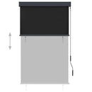 vidaXL antracitszürke kültéri roló 100 x 250 cm