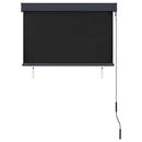 vidaXL antracitszürke kültéri roló 100 x 250 cm