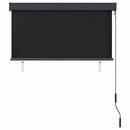 vidaXL antracitszürke kültéri roló 120 x 250 cm