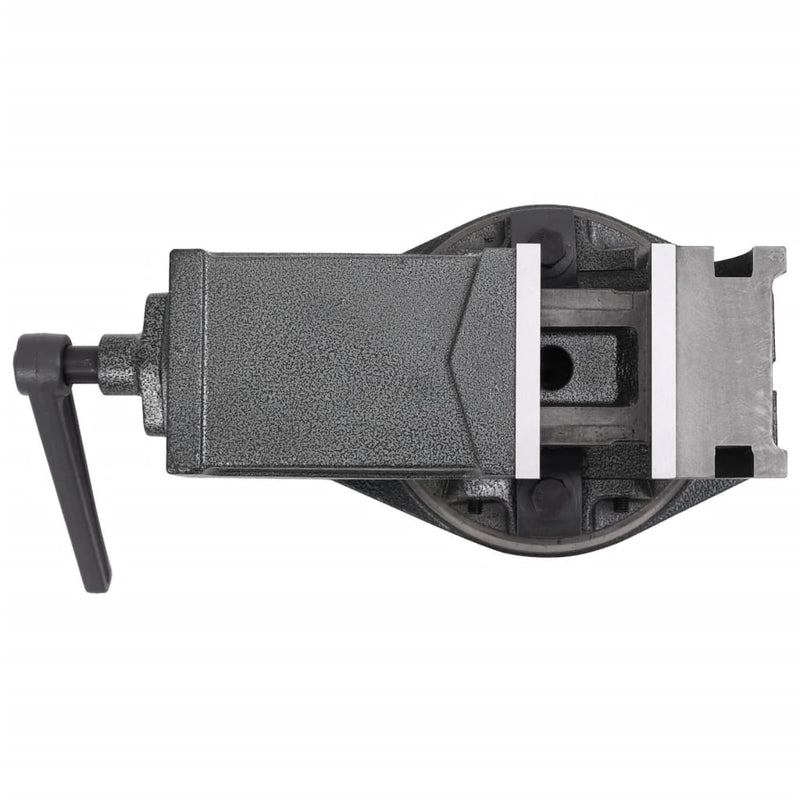 vidaXL kéttengelyes dönthető satu 100 mm