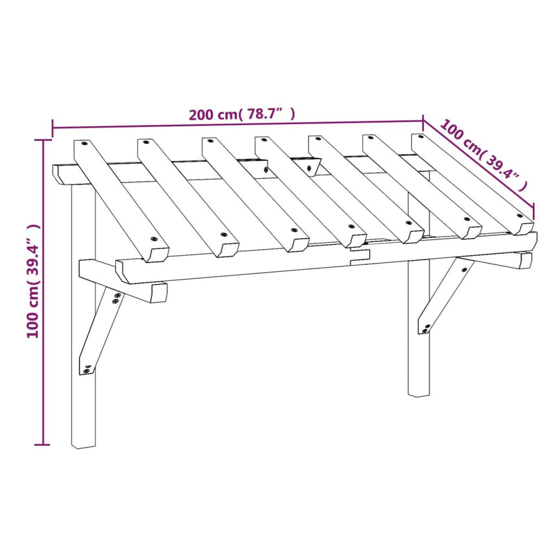 vidaXL tömör fenyőfa ajtó előtető 200 x 100 x 100 cm