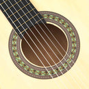 vidaXL 12 darabos klasszikus gitár kezdő szett 4/4 39"