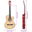 vidaXL 6 húros akusztikus western cutaway hársfa gitár 38"
