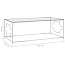 vidaXL ezüstszínű üveg és rozsdamentes acél dohányzóasztal 120x60x45cm
